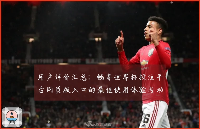 用户评价汇总：畅享世界杯投注平台网页版入口的最佳使用体验与功能介绍