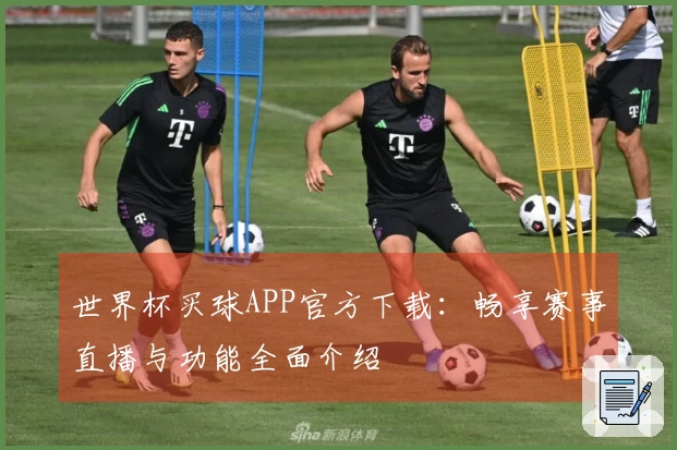 世界杯买球APP官方下载：畅享赛事直播与功能全面介绍