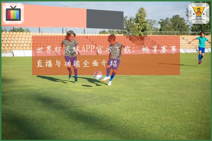 世界杯买球APP官方下载：畅享赛事直播与功能全面介绍