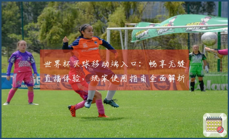 世界杯买球移动端入口：畅享无缝直播体验，玩家使用指南全面解析