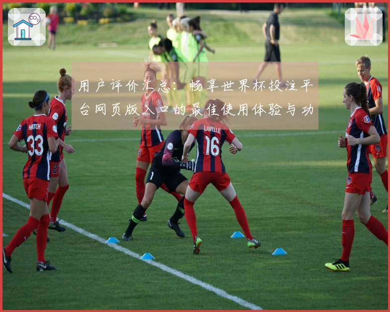 用户评价汇总：畅享世界杯投注平台网页版入口的最佳使用体验与功能介绍