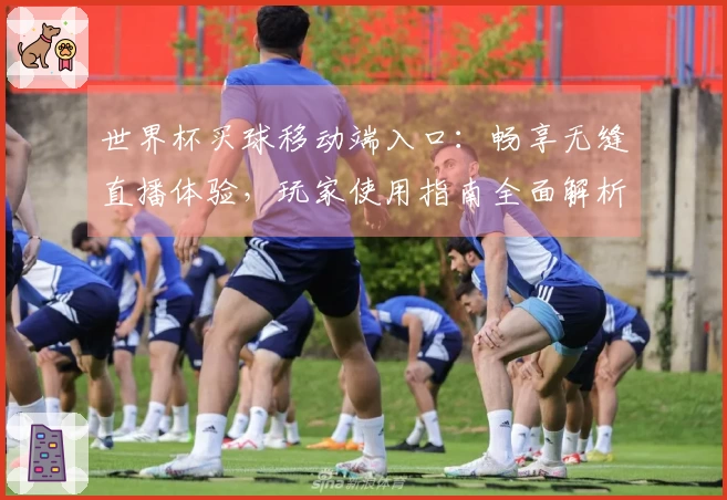 世界杯买球移动端入口：畅享无缝直播体验，玩家使用指南全面解析